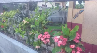 Гили Траванган: Pondok Gili Gecko