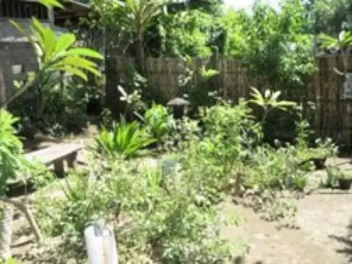 Гили Траванган: Fitria Homestay