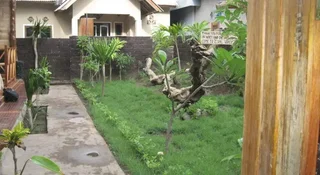 Гили Траванган: Coral Voice Homestay 2