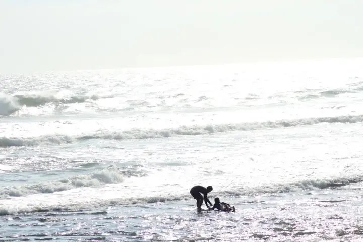 Переренан: Shore Amora Canggu