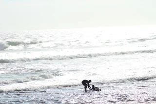 Переренан: Shore Amora Canggu