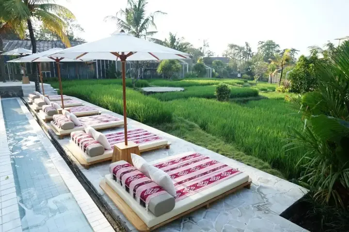 Переренан: Shore Amora Canggu