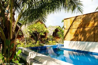 Гили Траванган: Cotton Tree Cottages