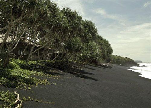 Селемадег: Ketapang Estate