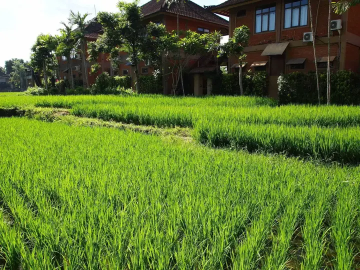 Убуд: Saren Indah Hotel