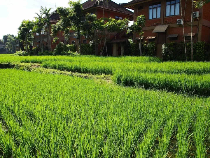 Убуд: Saren Indah Hotel