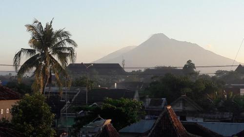Banana Homestay — фото 4