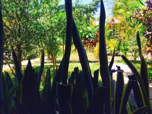 Гили Аир: Gili Spoy - Spoy Homestay