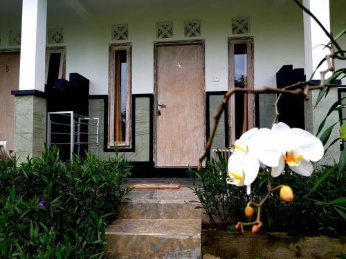 Лембонган-Айленд: Suba Guesthouse