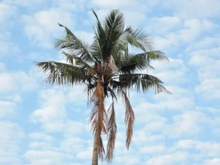 Гили Аир: Old Village Gili Air