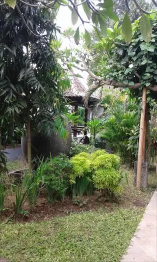 Санур Кайя: Griya Pasir Ukir Homestay