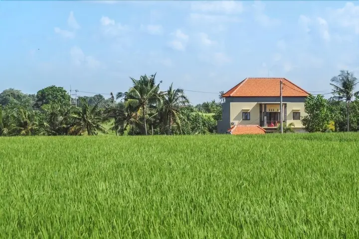 Переренан: Canggu Beach Hostel