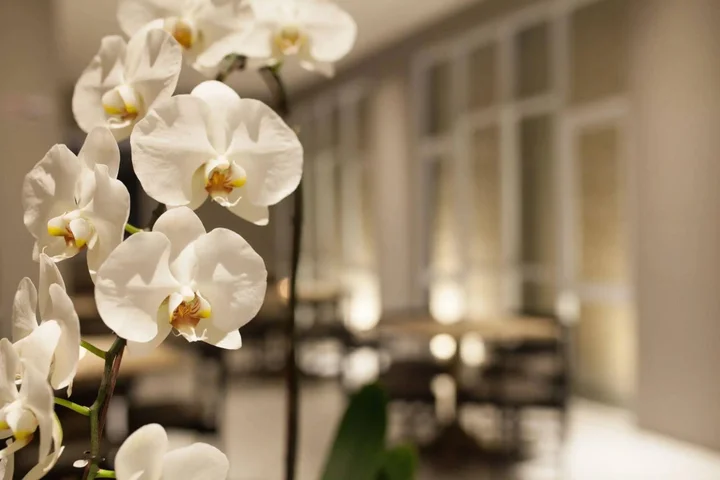Бандунг: OYO Flagship 90726 The Regia Cihampelas Hotel Band