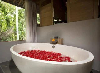 Убуд: Blue Karma Dijiwa Ubud