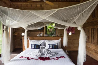 Убуд: Blue Karma Dijiwa Ubud