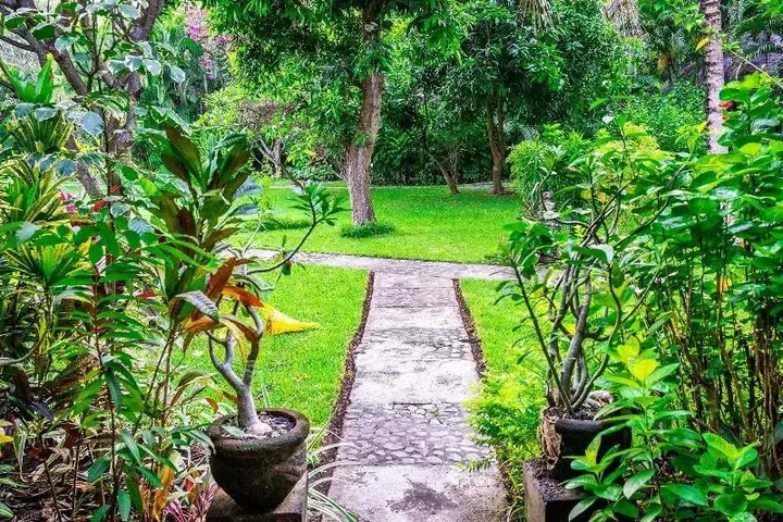 Негара: Taman Selini Bali