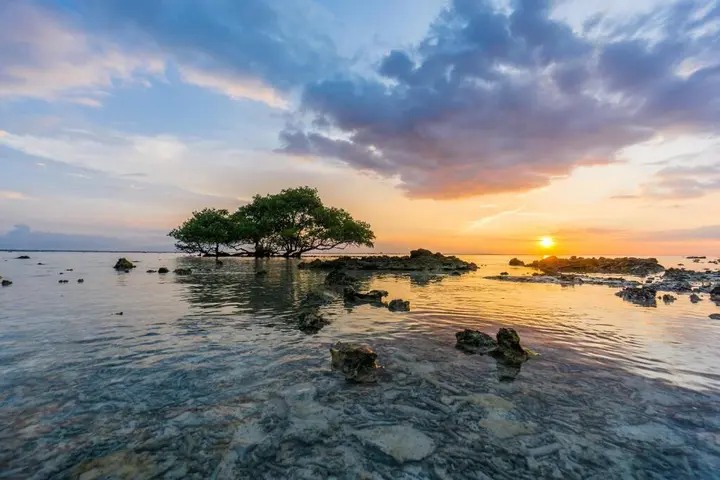 Гили Траванган: Tropica Gili Hotel