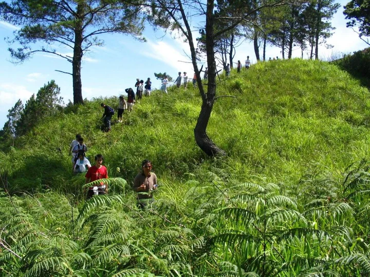 Озеро Тоба: Taman Simalem Resort