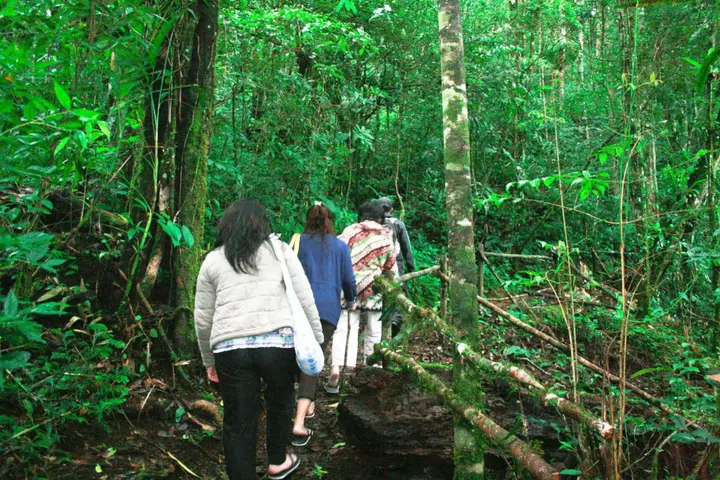 Озеро Тоба: Taman Simalem Resort