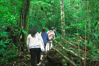 Озеро Тоба: Taman Simalem Resort