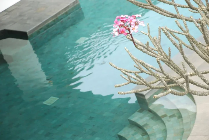 Маланг: eL Hotel Malang