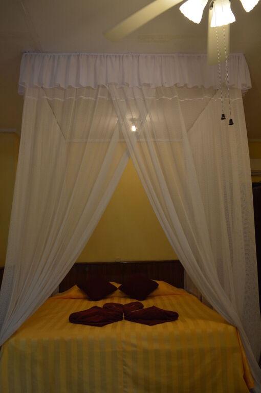 Пангкаланбун: Rimba Orangutan Eco Lodge