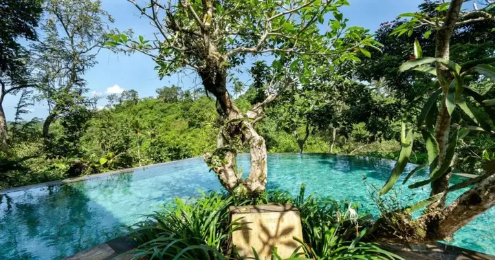 Убуд: Natura Resort and Spa