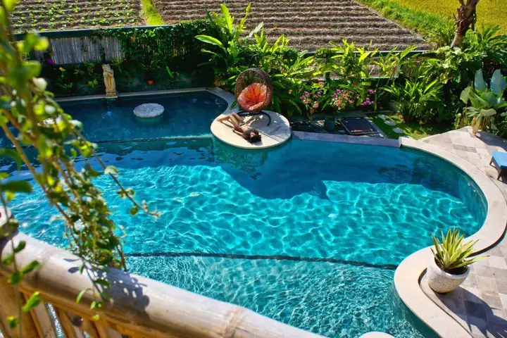 Floating Leaf Eco-Luxury Retreat — фото 4