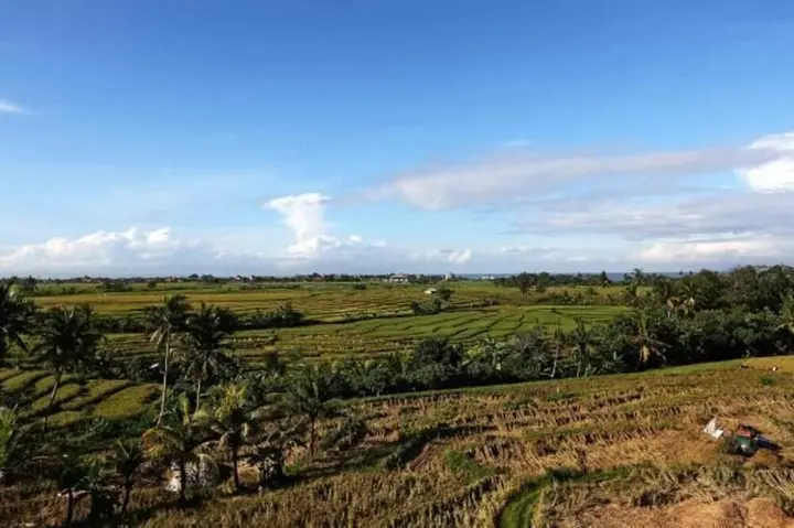 Сесе: William's Place Bali