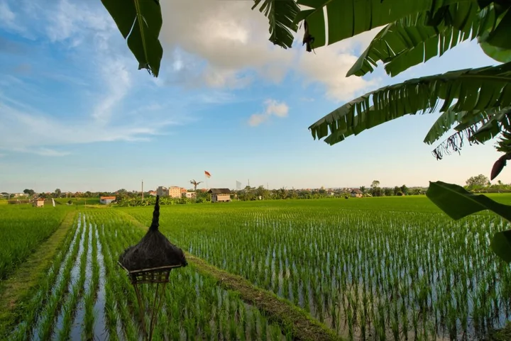 Чангу: Sotis Villa Canggu