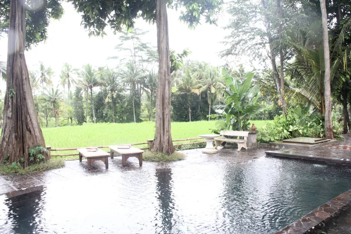Табанан: Umasari Rice Terrace Villa
