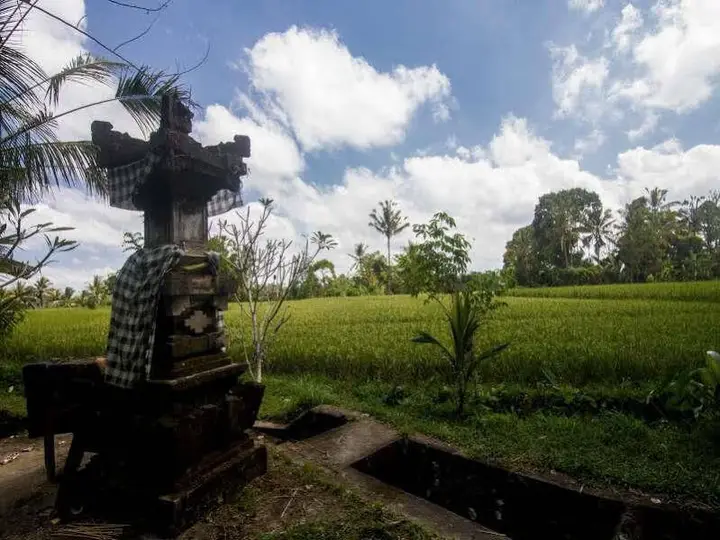 Step Ubud Hotel Mountain View — фото 1