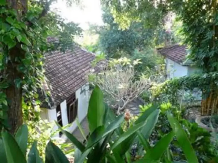 Сукасада: Sananda Bungalow