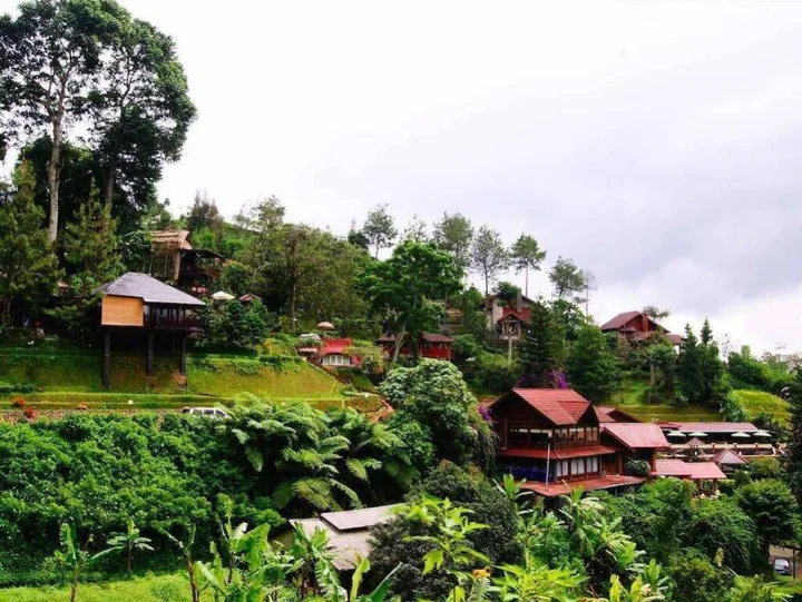 Чипанас: Talita Mountain Resort