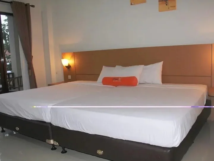 Пангандаран: Hotel Paluvi