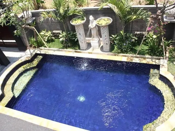 Villa Bintang Lovina — фото 1