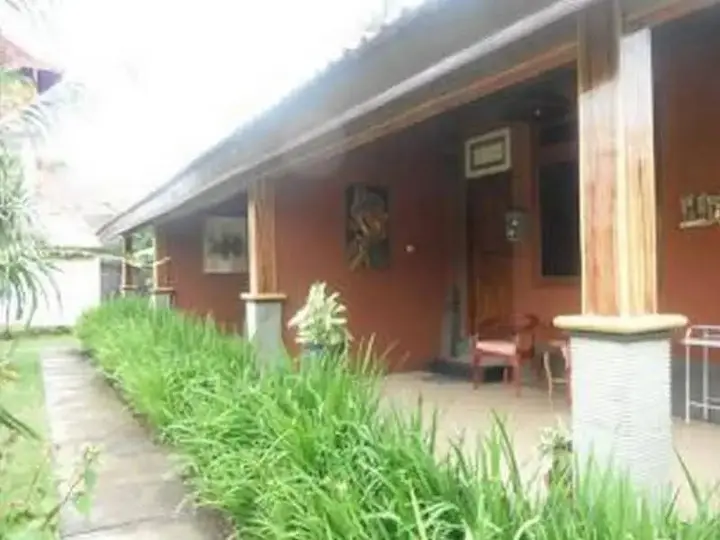 Темукус: Pondok Lovina Homestay & Villas
