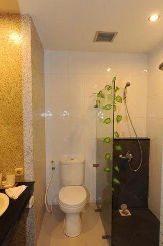 Бандунг: Wirton Dago Hotel