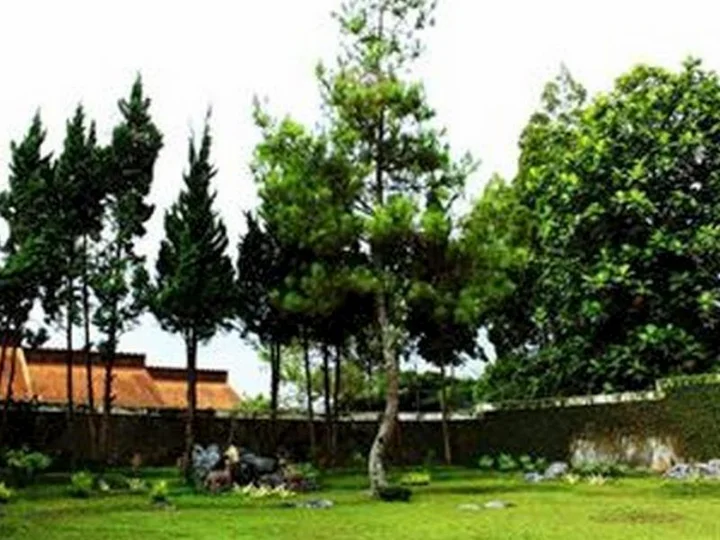 Бандунг: "rumah Pinus" Guesthouse & Cafe