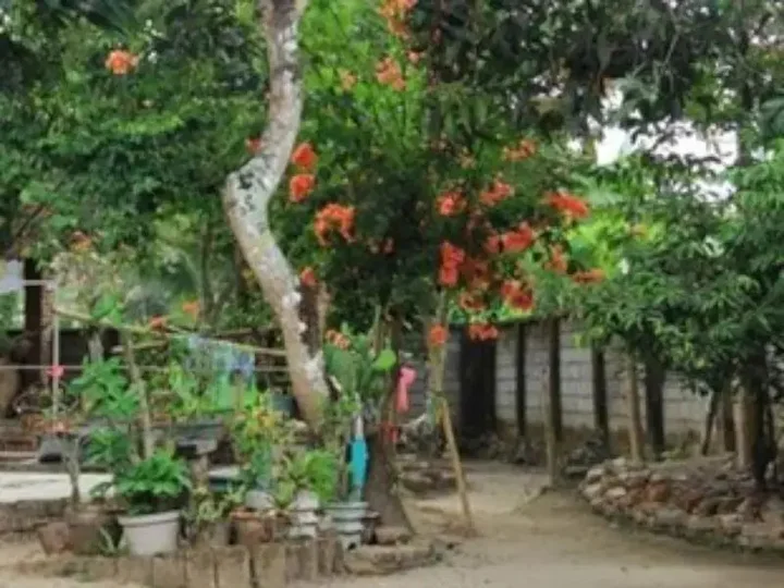 Матарам: Harwati Homestay
