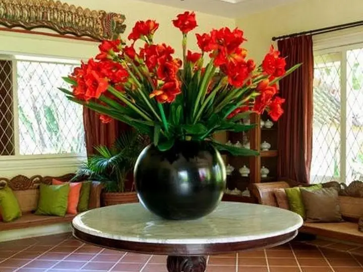 Gladiola Guest House — фото 2