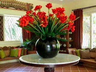 Маланг: Gladiola Guest House