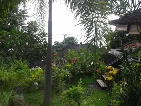 Бунутан: Bamboo Bali Bungalows Amed