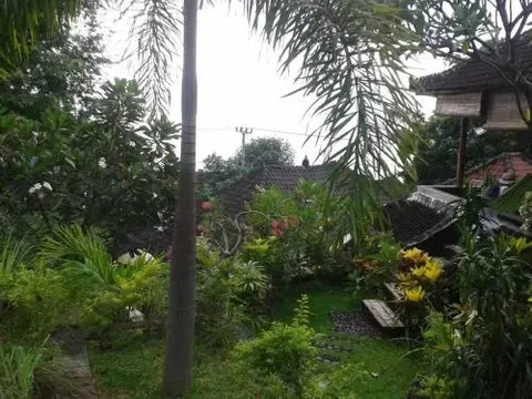 Бунутан: Bamboo Bali Bungalows Amed