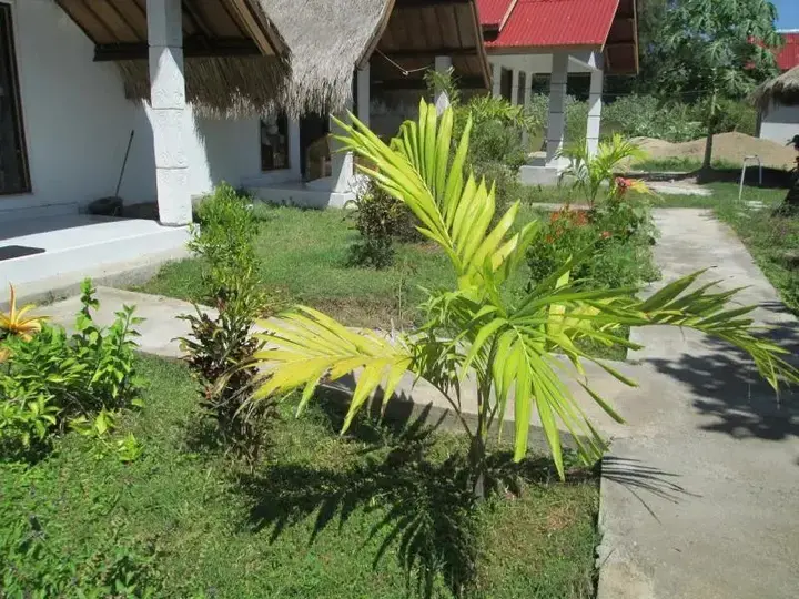 Гили Аир: Baiq Homestay
