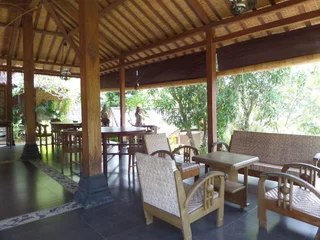 Табанан: 瓦纳普拉斯塔别墅(Wanaprasta Villa)