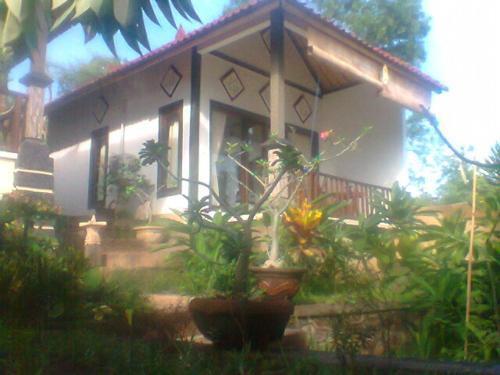 Бунутан: Bedulu Resort Amed