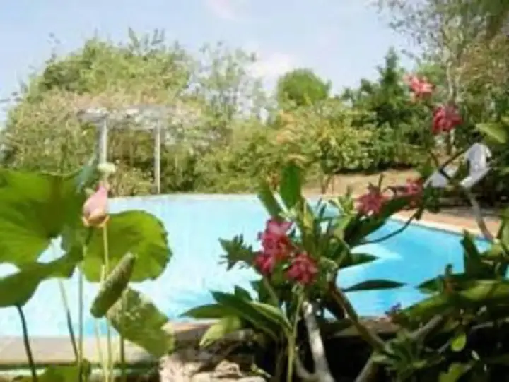 Джимбаран: Udayana Kingfisher Eco Lodge
