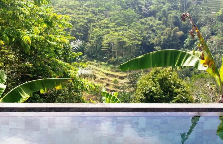 Батурити: Shangrilah Villas