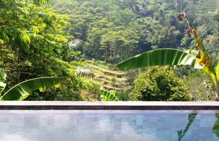 Батурити: Shangrilah Villas